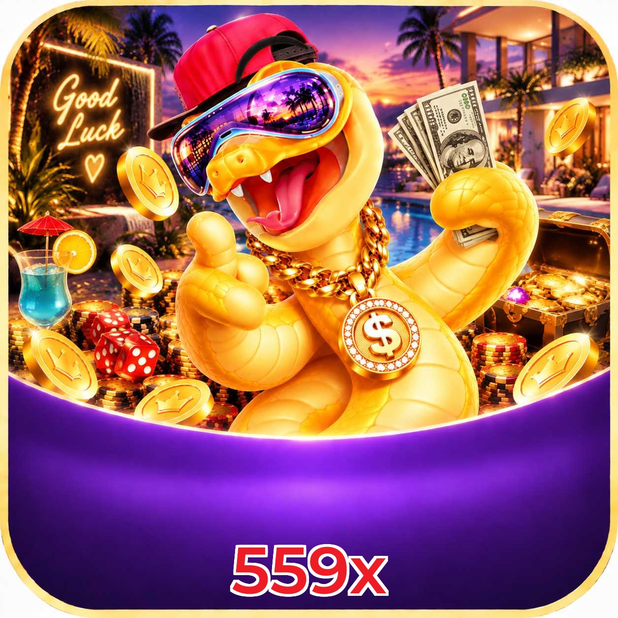 559x FAQ